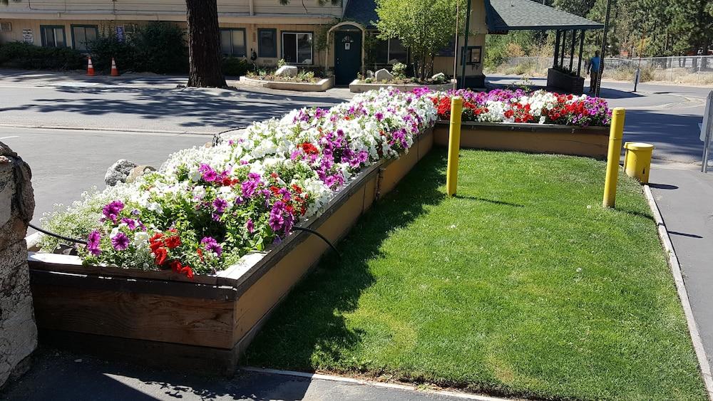 Alpine Inn&Spa South Lake Tahoe Esterno foto