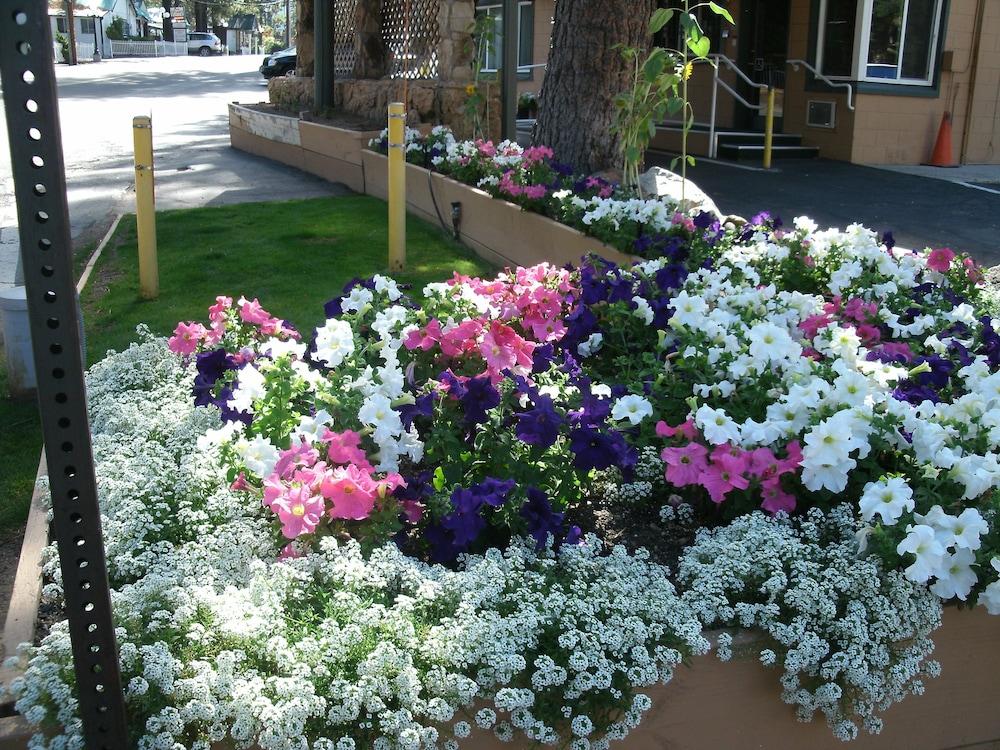 Alpine Inn&Spa South Lake Tahoe Esterno foto